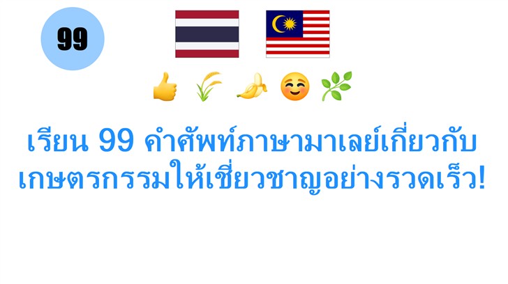 เรียน 99 คำศัพท์ภาษามาเลย์เกี่ยวกับเกษตรกรรมให้เชี่ยวชาญอย่างรวดเร็ว!